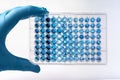 Researcher holding microplate for biomedical research