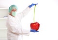 Researcher holding up a GMO fruit Royalty Free Stock Photo