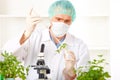 Researcher holding up a GMO plant in the lab