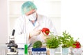 Researcher holding up a GMO vegetable