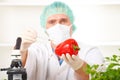 Researcher holding up a GMO vegetable Royalty Free Stock Photo