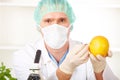 Researcher holding up a GMO vegetable in the lab