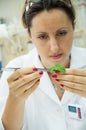 Researcher holds leaf