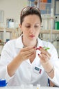 Researcher holds leaf Royalty Free Stock Photo