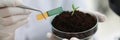 Researcher holds small-stemmed glass flask with soil with Ph test strip