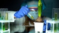 Researcher injecting test liquid in hyacinth, genetic breeding of new kind