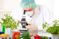 Researcher with microscope with a GMO vegetables Royalty Free Stock Photo