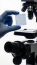 A researcher\'s gloved hand holding a single-cell spatial transcriptomics slide before microscope analysis Royalty Free Stock Photo