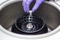 Researcher or scientist or PHD student working in a biotechnology laboratory sampling DNA in a test tube with centrifuge Royalty Free Stock Photo