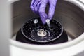 Researcher or scientist or PHD student working in a biotechnology laboratory sampling DNA in a test tube with centrifuge Royalty Free Stock Photo