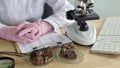 Researcher studies rock samples under microscope in laboratory Royalty Free Stock Photo
