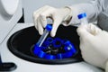 The researcher is using centrifuge tube 15 ml to do the lab test. Royalty Free Stock Photo