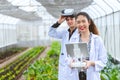 Researcher using drone controller with fly view glasses monitor plant growing in Agriculture farm