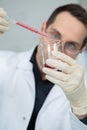 Researcher at work in laboratory with blood pipette