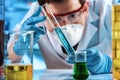 Researcher working with tube test in the research laboratory Royalty Free Stock Photo