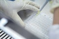 Researchers or chemists wear a glove holding 96 wells micro plate, transfer solution from micropipette to well plate in biosafety Royalty Free Stock Photo