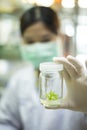 Plant tissue culture bottle on hand hold