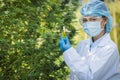 Researchers hold bottles of hemp oil to research cbd extracts from hemp oil on farms. for medical purposes