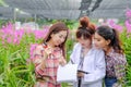 Researchers young women wearing white dresses and orchid garden owners are collaborating to inspect orchids and save changes to