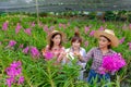 Researchers, young women wearing white dresses and orchid garden owners are collaborating to inspect orchids and save changes