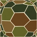 Resembles a stained-glass window or a camouflaged surface, providing Royalty Free Stock Photo