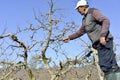 RESEN, MACEDONIA. MARCH 10, 2018- Farmer pruning apple tree in o