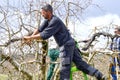 RESEN, MACEDONIA. MARCH 29, 2020- Farmer pruning apple tree in orchard in Resen, Prespa, Macedonia. Prespa is well known region in