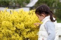 resentful little girl with ponytails looks at a bush with yellow flowers