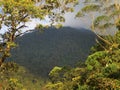 Reserva Ecologica Rio Blanco, Manizales, Colombia Royalty Free Stock Photo
