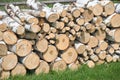 Reserves of birch logs Royalty Free Stock Photo