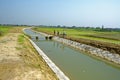 Paddy field and irrigation canal