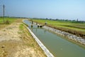 Paddy field and irrigation canal