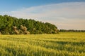 Reservoirs and field shelterbelts