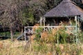 Residence at Kwando river at the caprivi strip Naminia Royalty Free Stock Photo