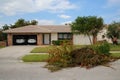 Piles of Tree Branches Hurricane Irma