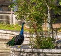 A resident Dona Casilda Park in Bilbao