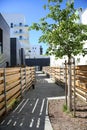 Residential area of newly constructed modern buildings Royalty Free Stock Photo