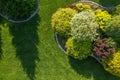 Residential Backyard Garden Aerial Vista