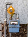 Residential diaphragm external gas meter regulator valves and pi