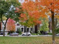 Residential district with mature trees Royalty Free Stock Photo