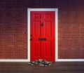 Residential front door with stack of newspapers; nobody home