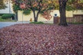 Residential front yard deeply covered with autumn leaves with an almost bare tree and wooden fence and stop sign at intersection Royalty Free Stock Photo