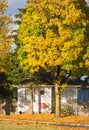 Family house and colorful tree in the fall Royalty Free Stock Photo