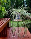 Residential house gardening view, with red deck bench