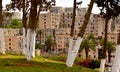 Residential houses in Algiers city, view with trees and palm trees, Algiers, Algeria, Africa Royalty Free Stock Photo