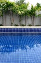 Residential inground swimming pool Royalty Free Stock Photo