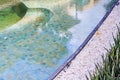 Residential Inground Swimming Pool in Backyard Royalty Free Stock Photo