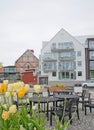 Residential modern building with tulips