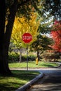 Residential neighborhood in autumn with stopsign and fire hydrant at intersection with beautiful trees