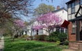 Residential neighborhood block in Early Spring